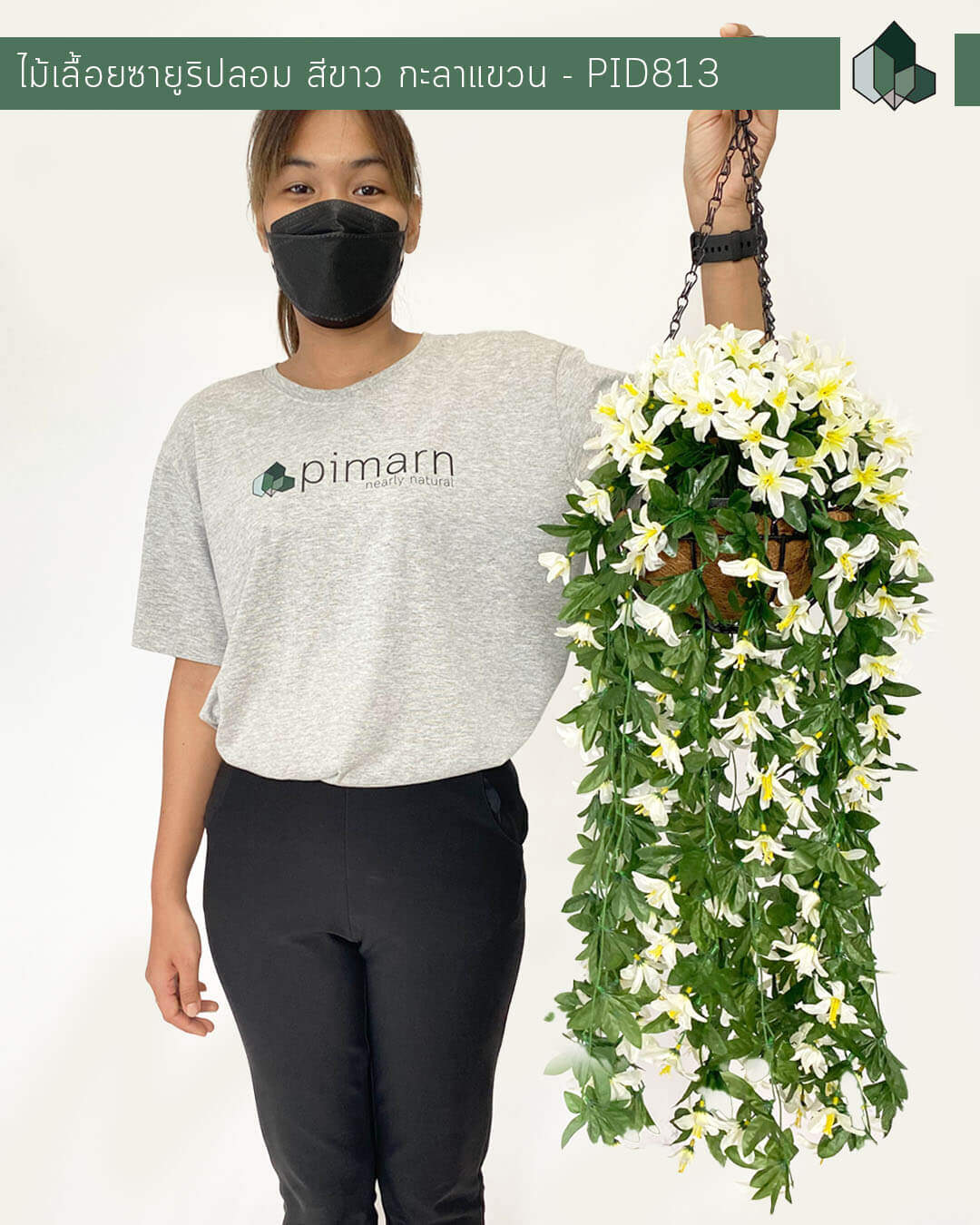 ไม้เลื้อยซายูริสีขาวปลอม ยาว 70 CM แบบแขวนกระถางใยมะพร้าว