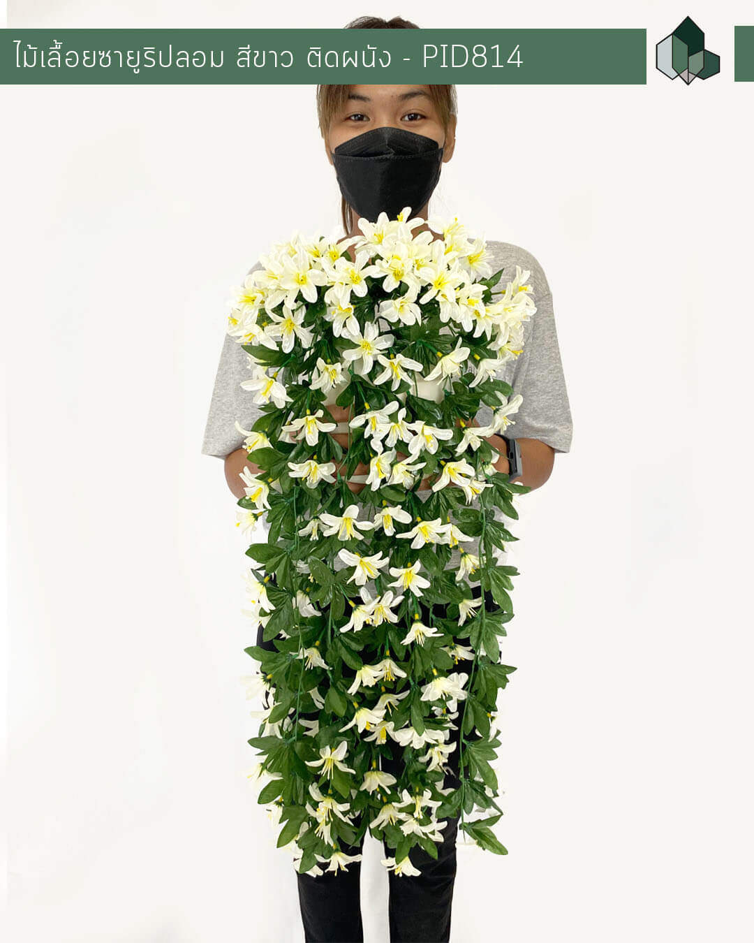 ไม้เลื้อยซายูริปลอมติดผนัง สีขาว ยาว 70 cm