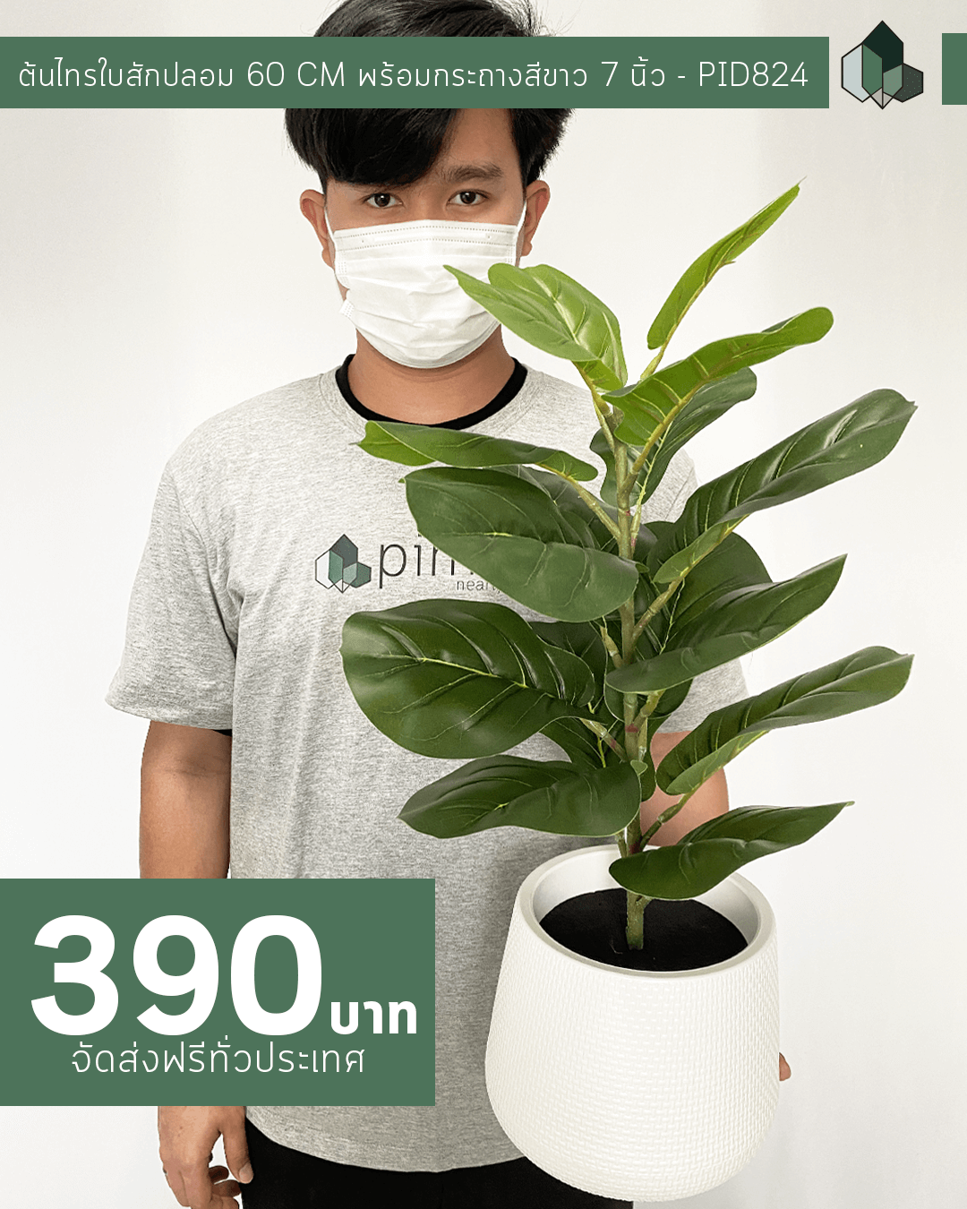 ต้นไทรใบสักปลอม สูง 60 CM พร้อมกระถางโมเดิร์นสีขาว