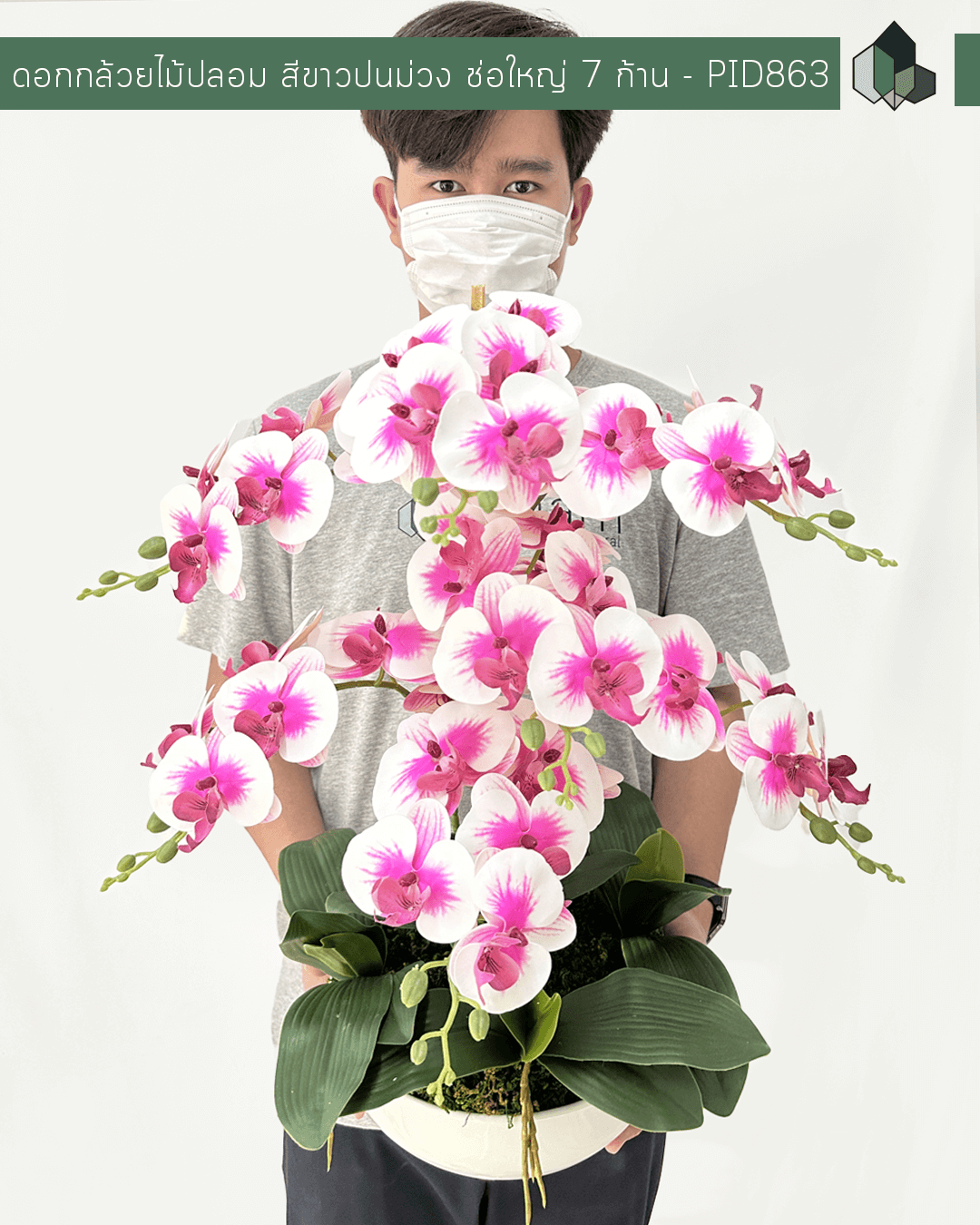 ดอกกล้วยไม้สีขาวปนม่วง กระถางเซรามิกทรงกลม สีขาว