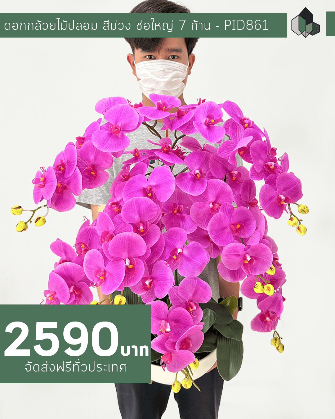 ดอกกล้วยไม้สีม่วง กระถางเซรามิกทรงกลม สีขาว