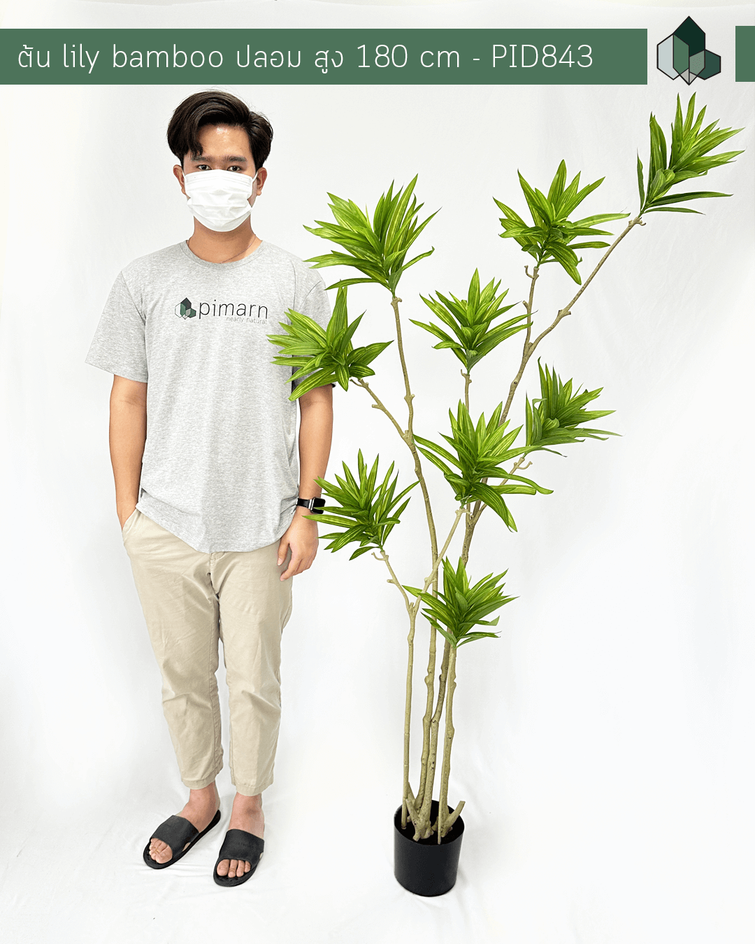 ต้น Lily Bamboo ปลอม สูง 1.8 เมตร