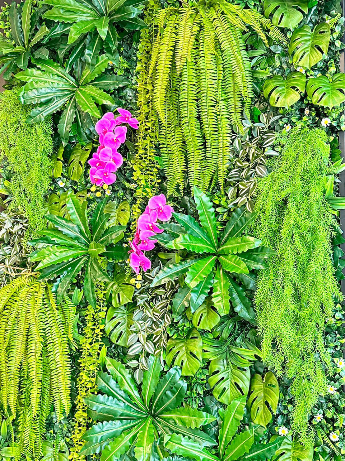02052023 (17)