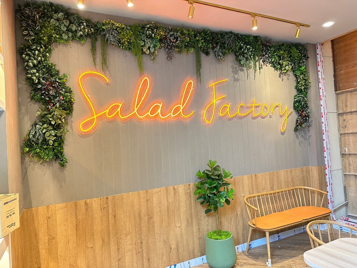 Salad factory (3)