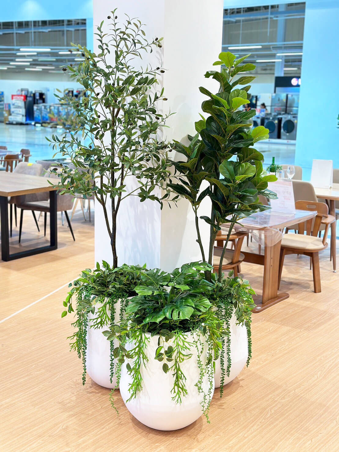 Homepro (24)
