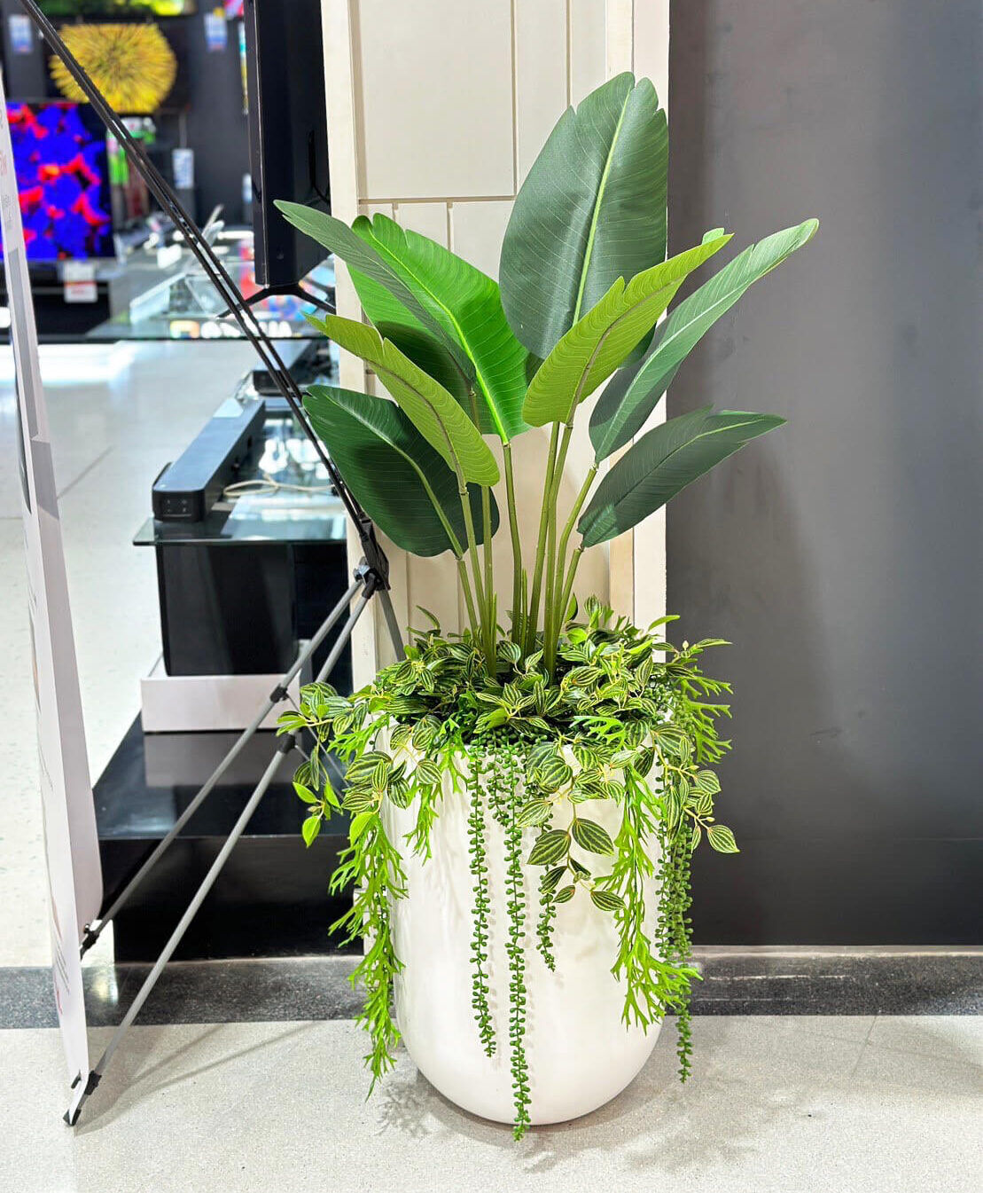 Homepro (6)