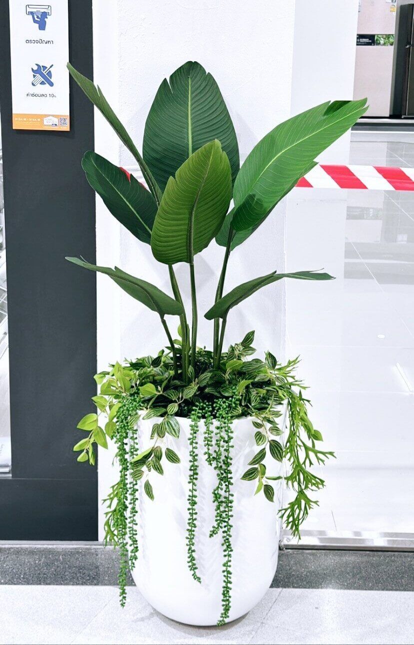 Homepro (60)