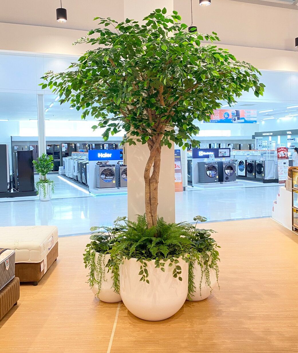 LINE_ALBUM_Homepro02_231019_13