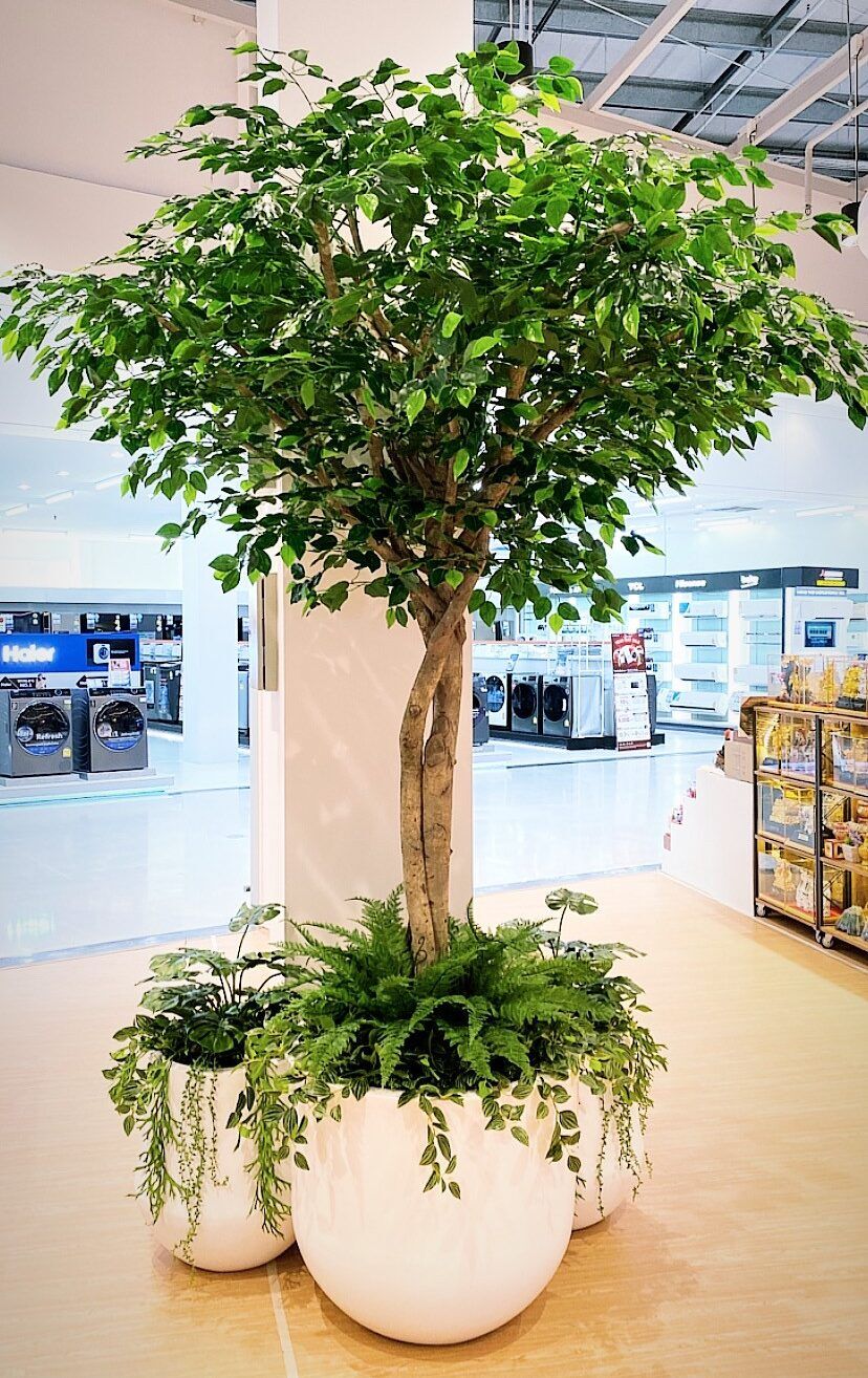 LINE_ALBUM_Homepro02_231019_50