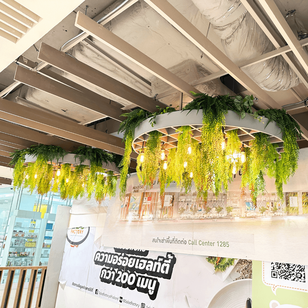 saladfactory (5)