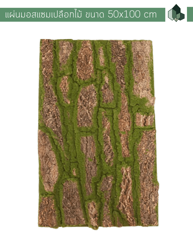 แผ่นมอสแซมเปลือกไม้ ขนาด 50x100 CM