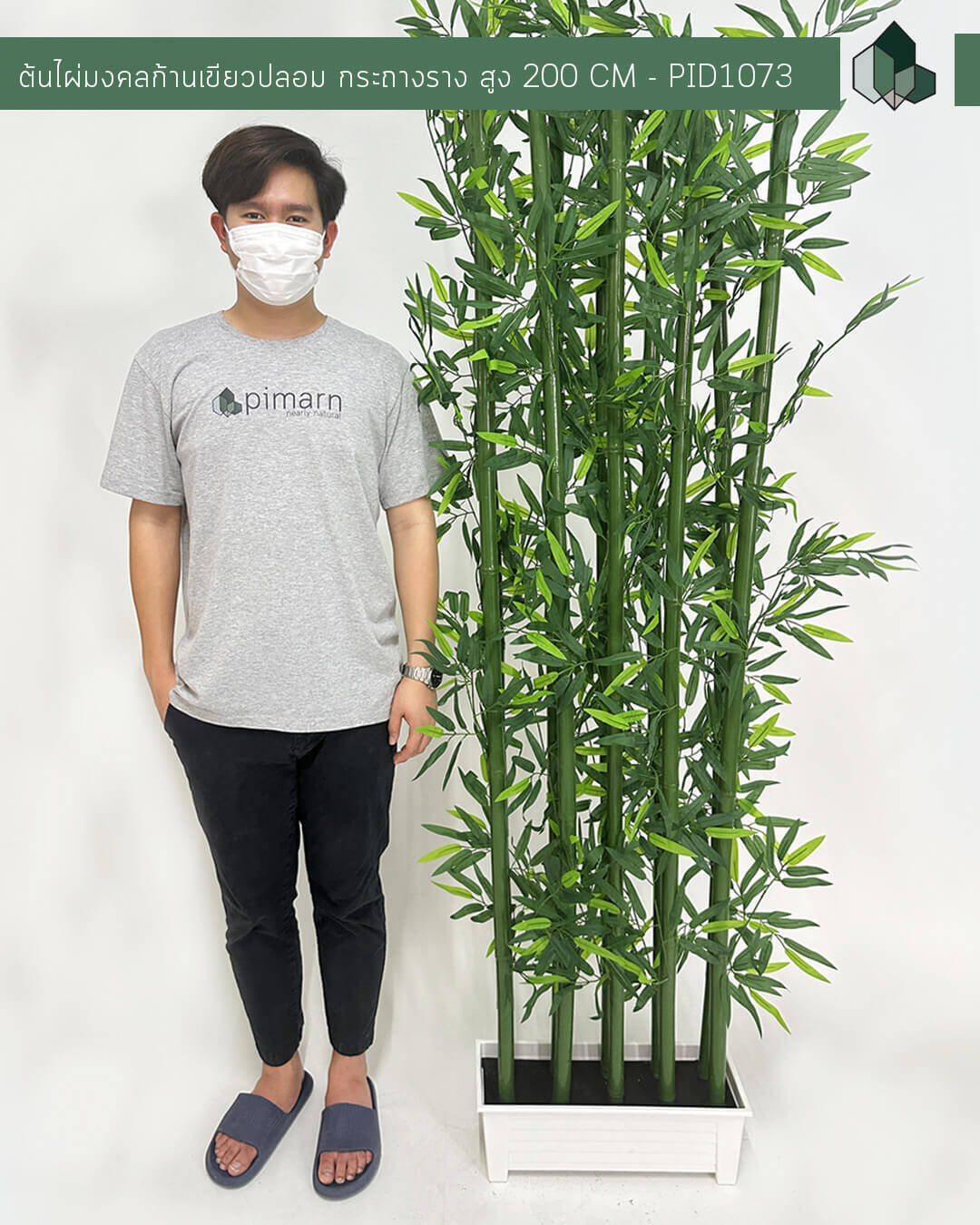 ต้นไผ่มงคลก้านเขียวปลอม กระถางราง สูง 200 CM