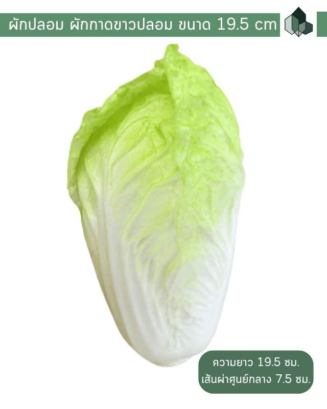 ผักปลอม ผักกาดขาวปลอม ขนาด 19.5 cm