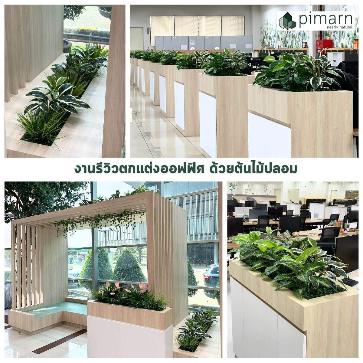 ตกแต่งออฟฟิศเซ็ตต้นไม้