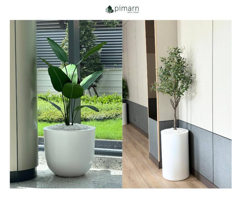 ตกแต่งออฟฟิศเซ็ตต้นไม้