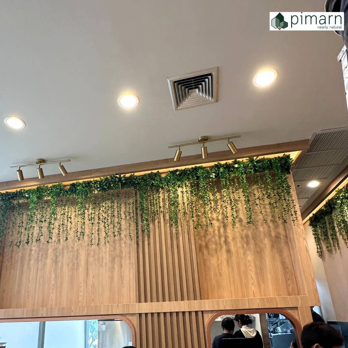 ตกแต่งไม้เลื้อยห้อยเพดาน