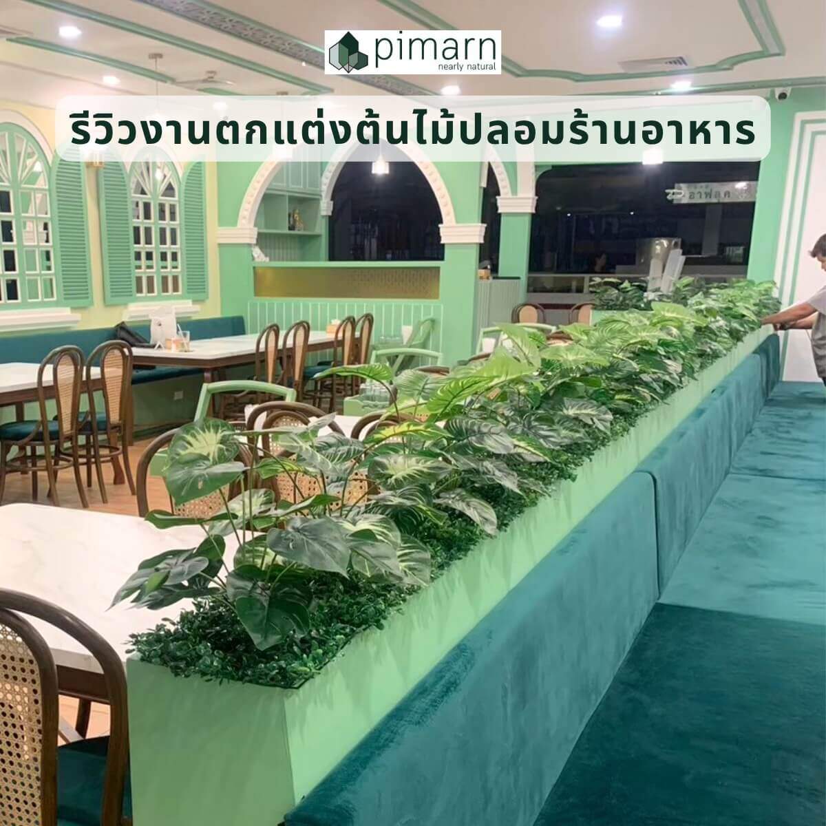 ตกแต่งกระบะต้นไม้