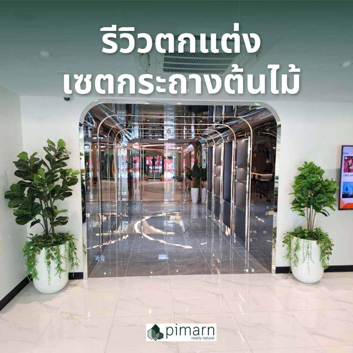 ตกแต่งด้วยเซตกระถางต้นไม้
