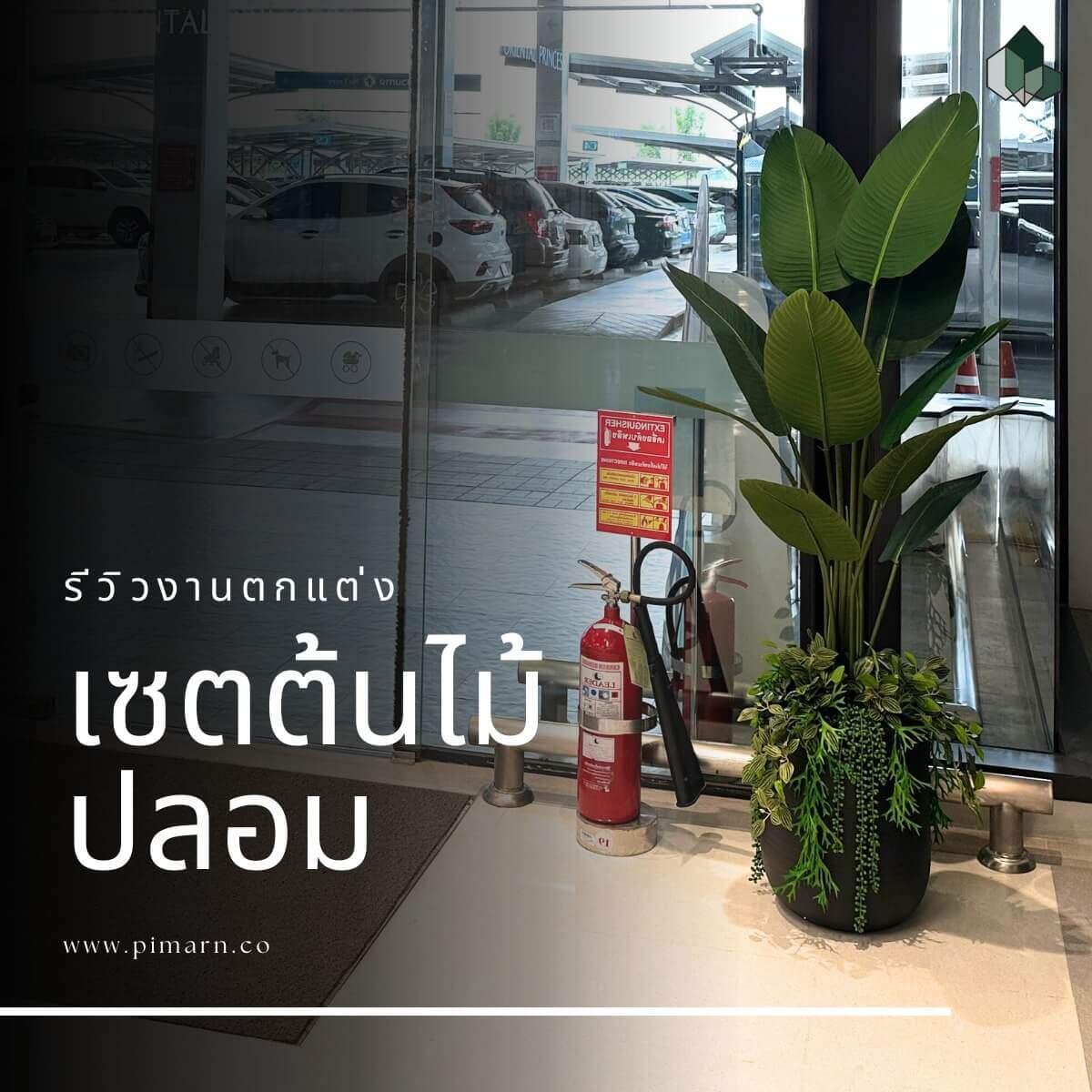 ตกแต่งเซตกระถาง