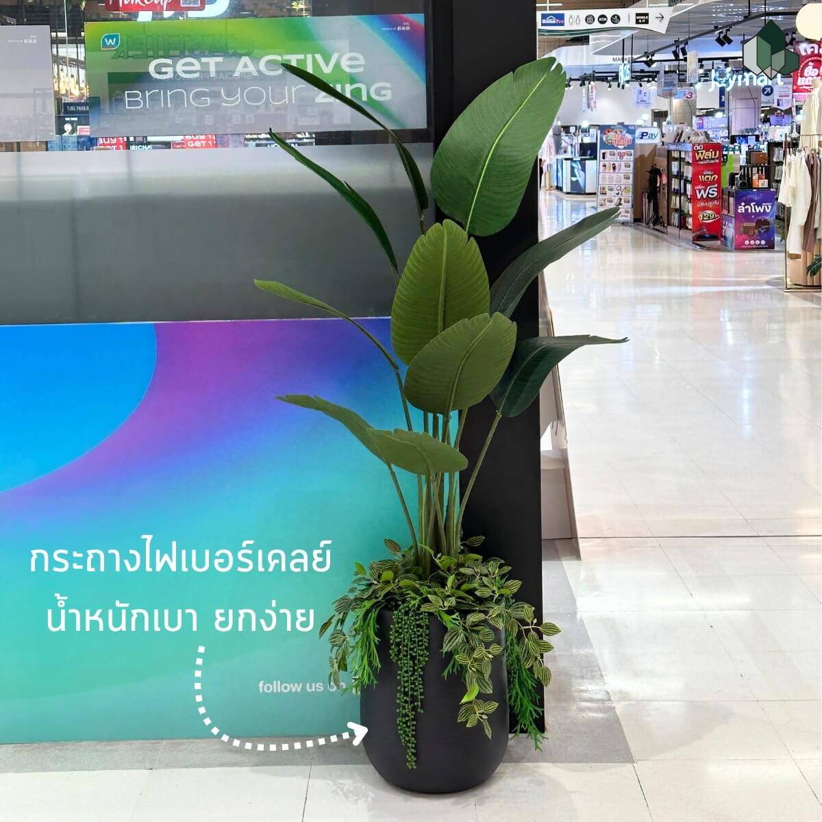 ตกแต่งเซตกระถาง
