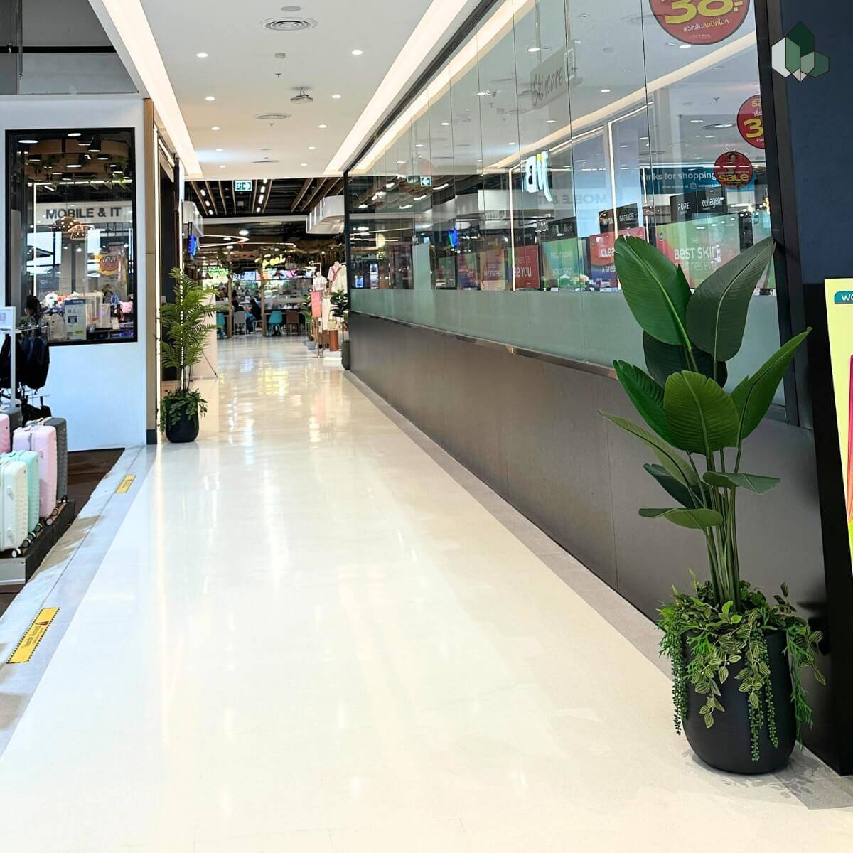 ตกแต่งเซตกระถาง