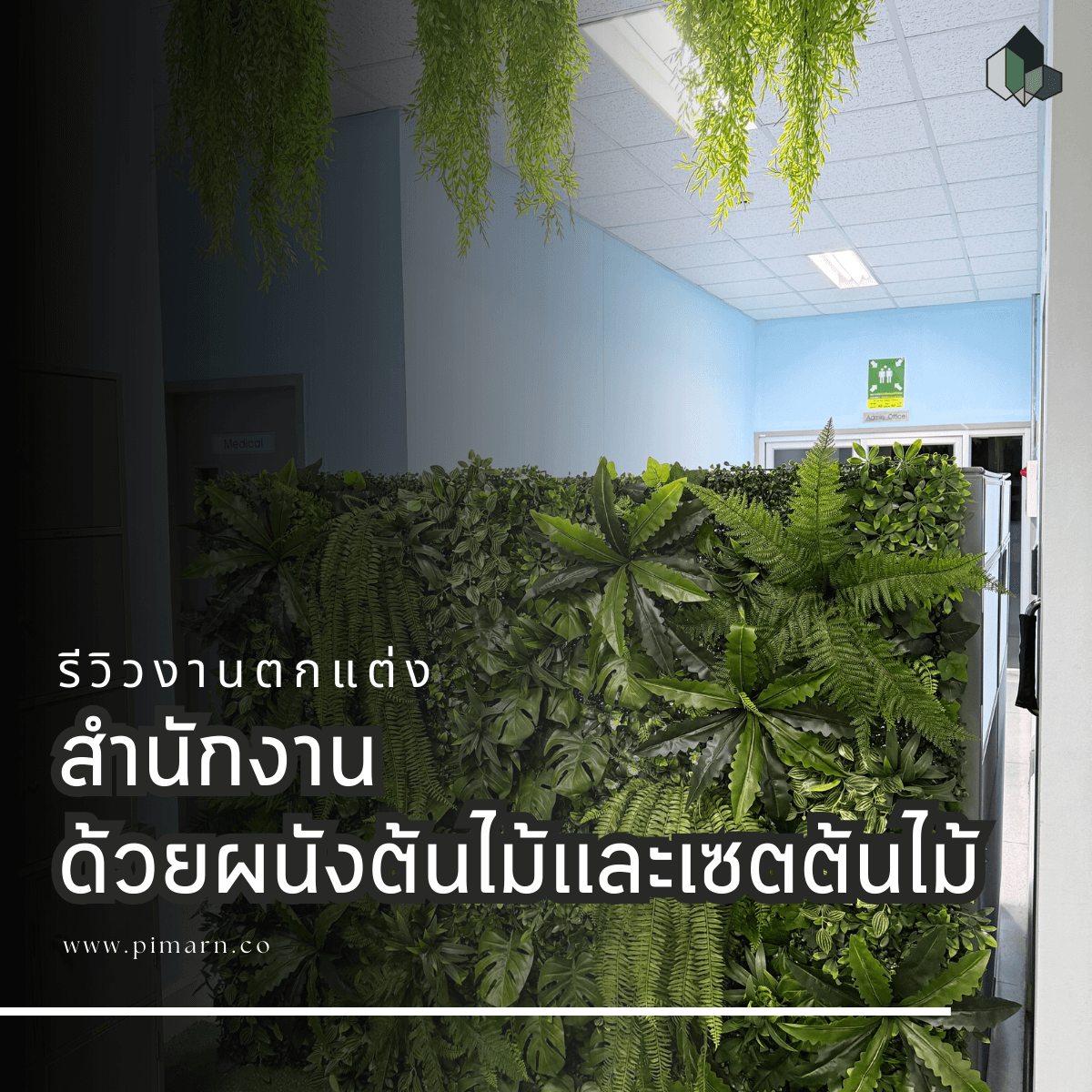 ตกแต่งสำนักงาน
