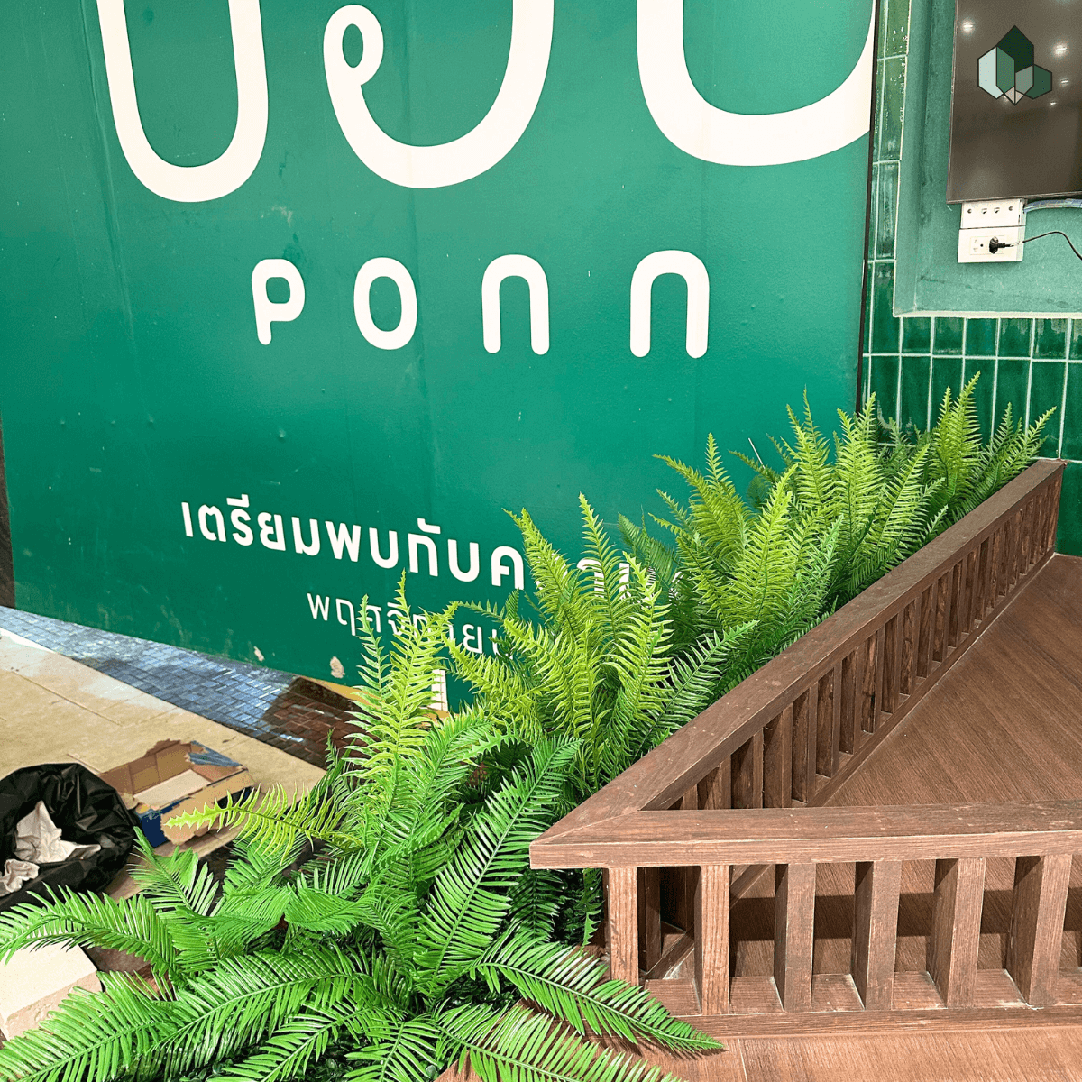 ต้นไม้แต่งร้านอาหาร