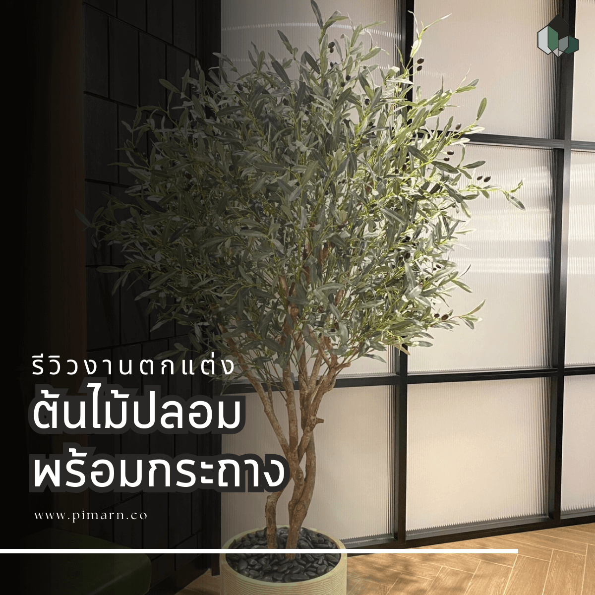 เซตต้นไม้ตกแต่งร้านอาหาร