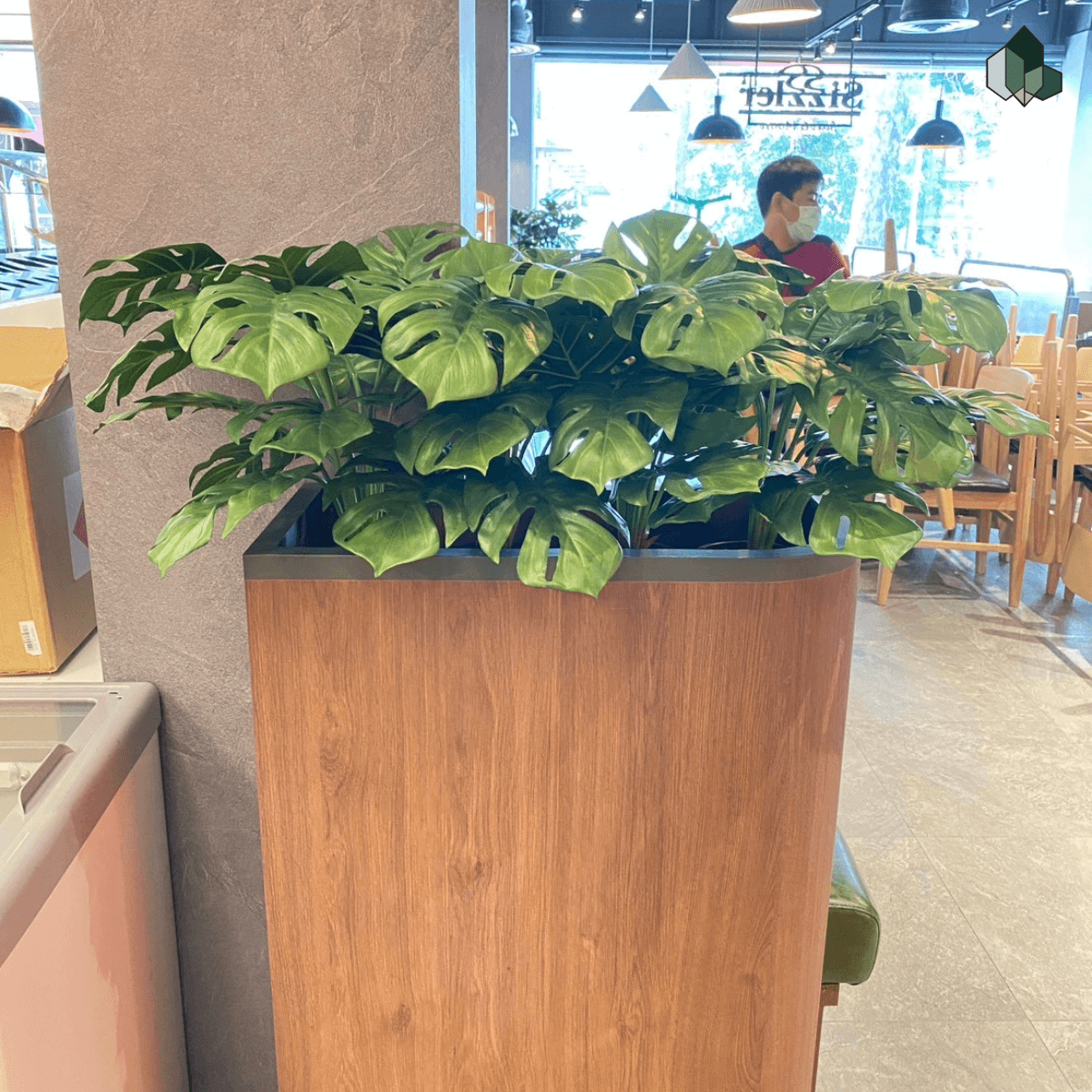 เซตต้นไม้ตกแต่งร้านอาหาร