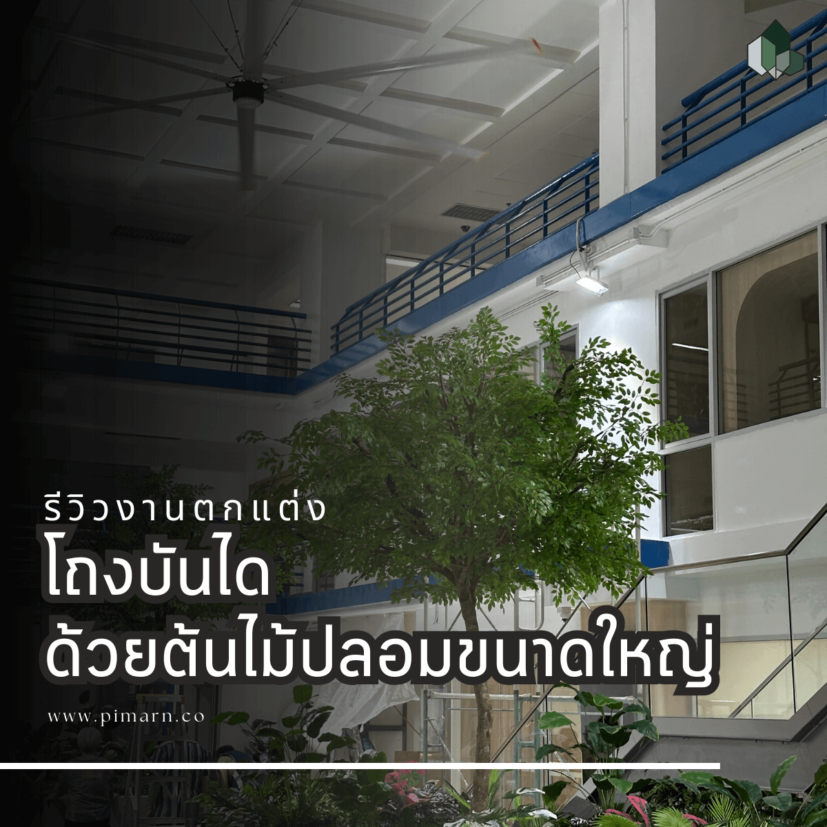 แต่งต้นไม้ใหญ่