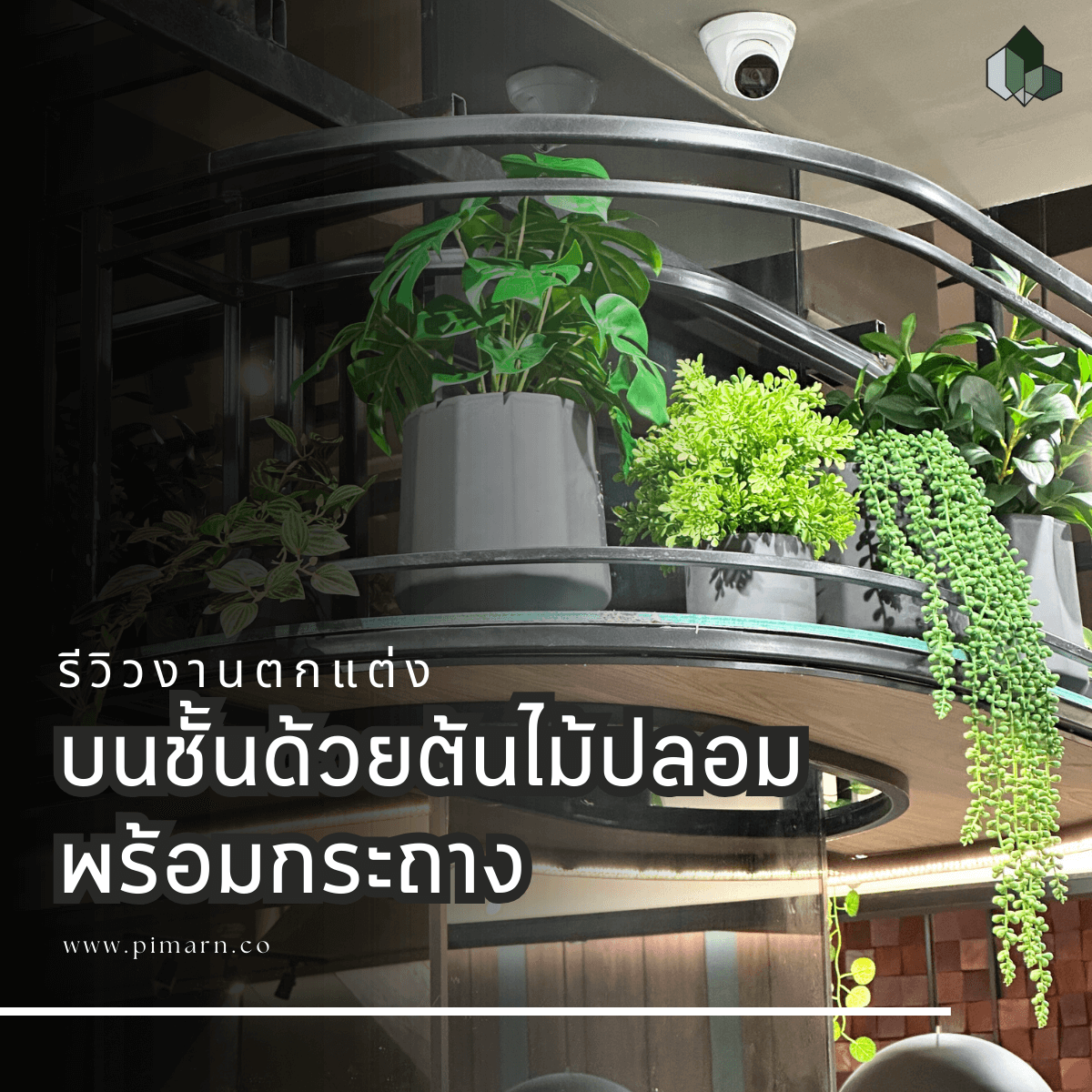 ไม้เลื้อยตกแต่งชั้นวาง