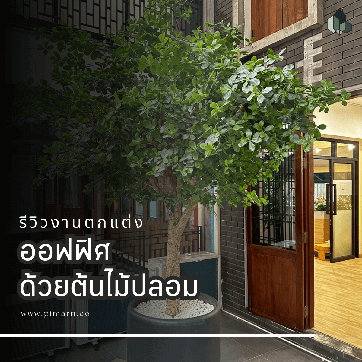 ต้นไม้ตกแต่ง